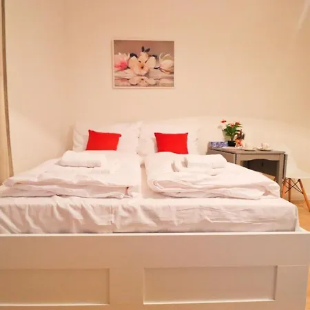 Spacious Apartment In The Center Of Prague-2