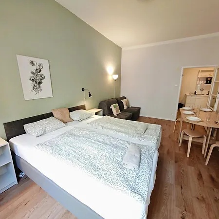 Flat In Zizkov -101--2