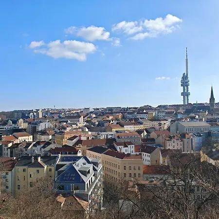 Flat In Zizkov -101--3