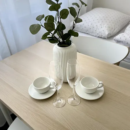 Apartmány Bryksova-2