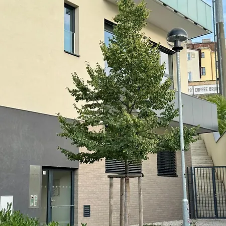 Spacious Urban Apartment With Terrace-3
