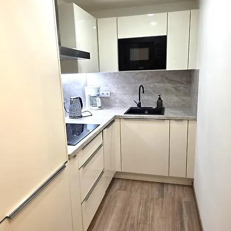 Small Studio With Loft Bed-3