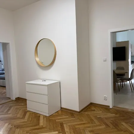 Spacious Apartment on Wenceslas Square-2