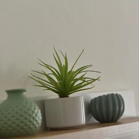 White Swan Boutique Apartments-2