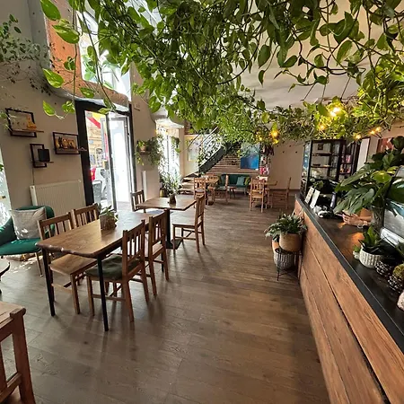 Wellness Hostel Central-2
