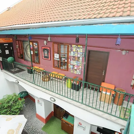 Backpacker Hostel-3