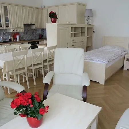 Apartments Near Lesser Town-3