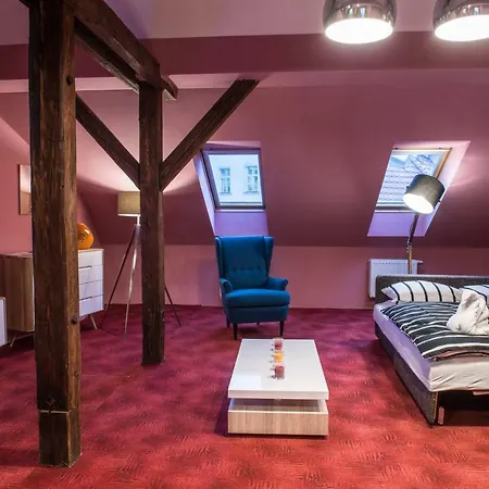 Spacious And Quiet Attic Flat In Centre-3