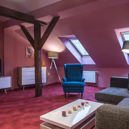 Spacious And Quiet Attic Flat In Centre-2