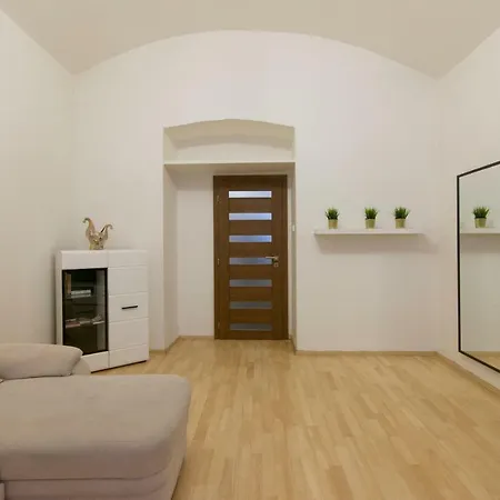 Spacious Apartment Near Wenceslas Square-3