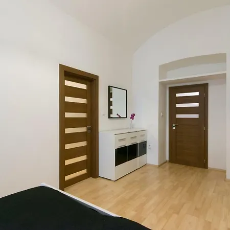 Spacious Apartment Near Wenceslas Square-2