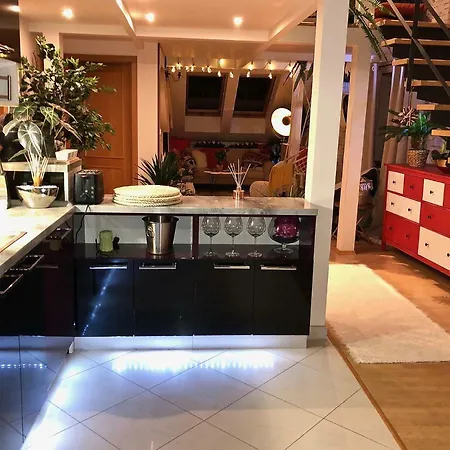 Duplex With Quite Terrace On Wenceslas Sq.-3