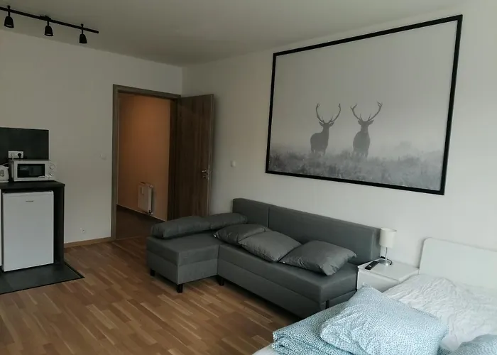 Brand New Studio Apartment #21 With Free Secure Parking In The Center Прага, Чехія