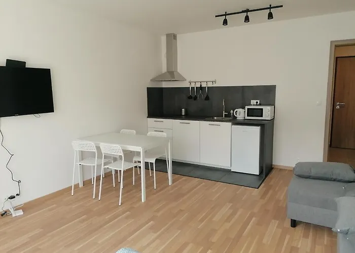 Brand New Studio #31 In Brand New Building With Free Parking In The Center