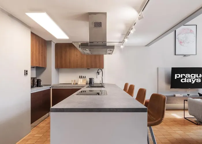 Prague Days - Loft With Garage And Workspace Right Next To Wenceslas Square, Czechy