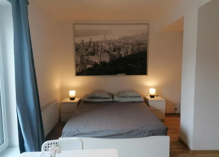 Brand New Studio # 45 With Free Parking In The City Center