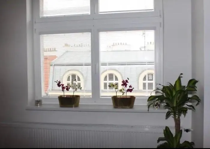 Lenka'S Cozy Red Studio + Lenka'S Cozy Gold Apartment