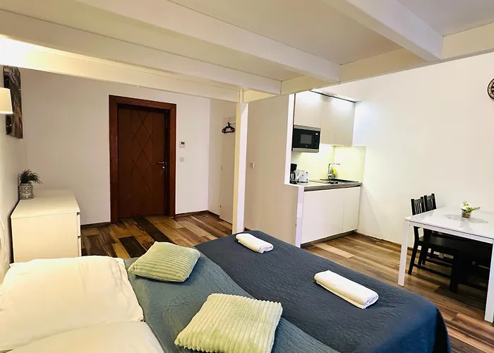 Elly Modern Oldtown Apartments Praga, Repubblica Ceca