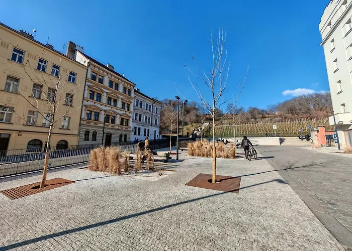 Flat In Zizkov -103-