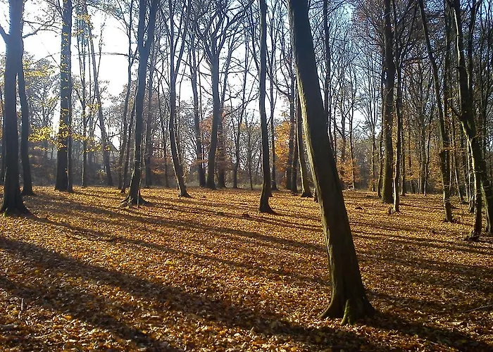Apartmany Chodov Prag, Tschechische Republik