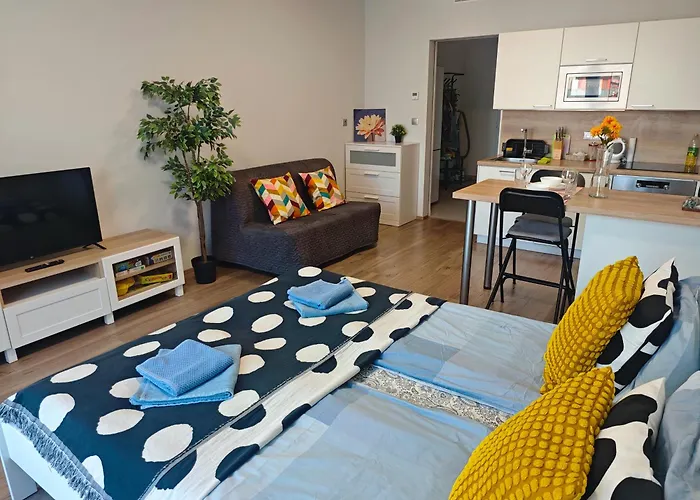 Comfort Flat With Great Location