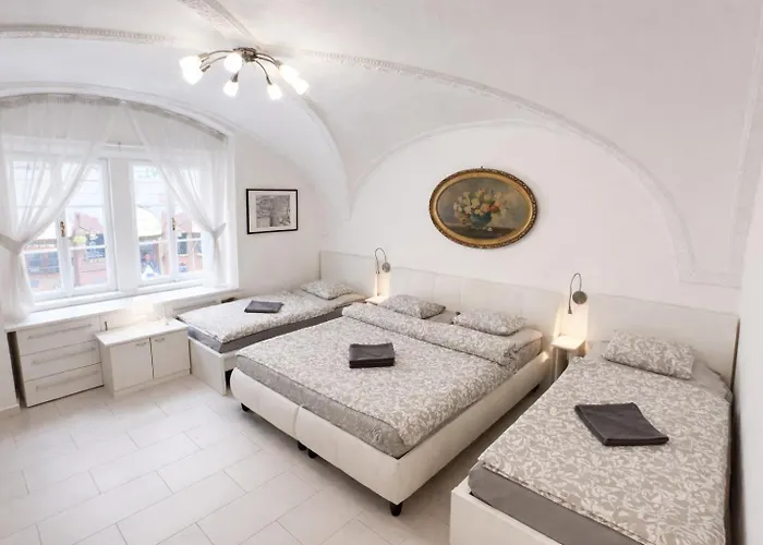 At The Blue Lion And Parking Assistance Apartment Prague, Czech Republic