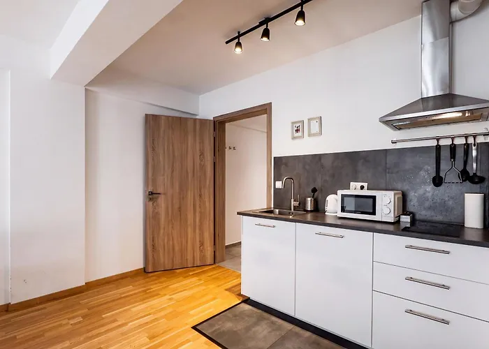 Brand New Studio Apartment #71 With Free Secure Parking In The Center