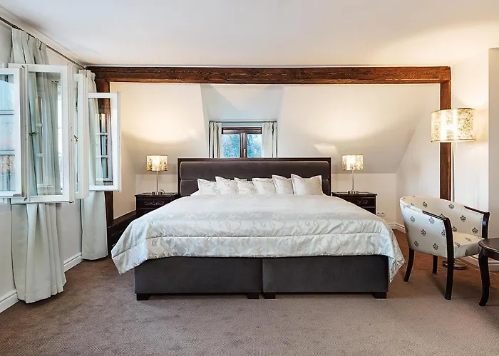 Hoffmeister Depandance Praga admite animales