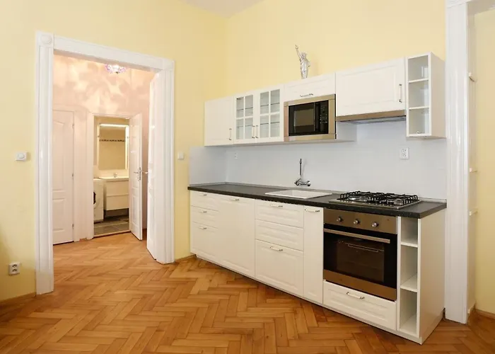 Apartment Near The Charles Bridge