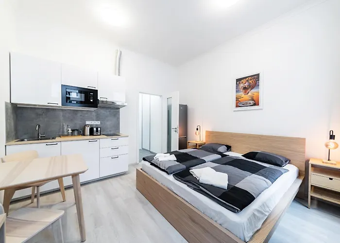 Apartments Borivojova 63
