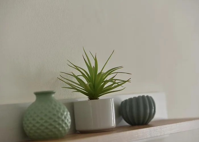 White Swan Boutique Apartments